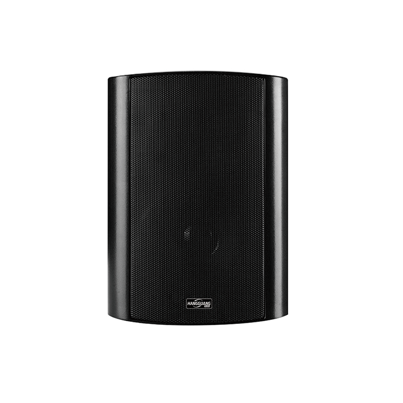 壁挂音箱HG-105B
