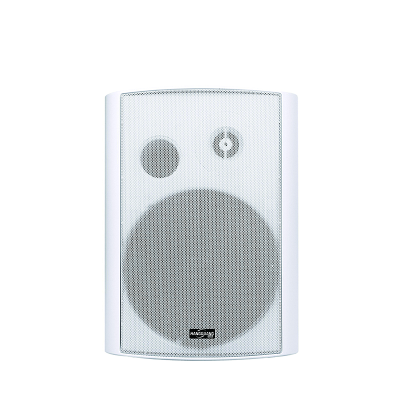 壁挂音箱HG-105W 20W